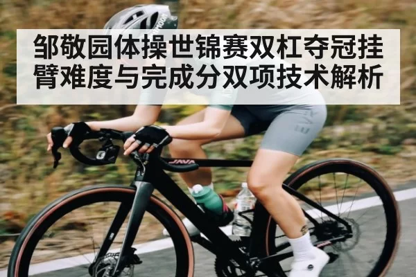 邹敬园体操世锦赛双杠夺冠挂臂难度与完成分双项技术解析